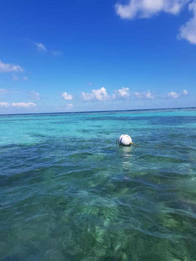 Island Magic Beach Resort Caye Caulker Εξωτερικό φωτογραφία